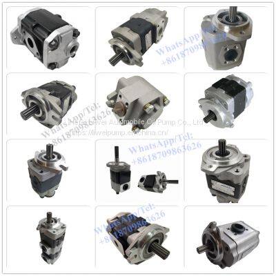 Forklift Spare Parts Hydraulic Gear Pump Oil Pump