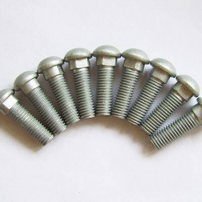 Oval Neck Track Bolts