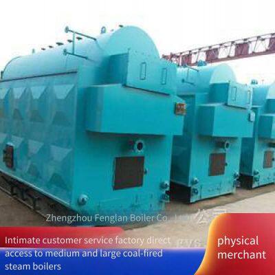 Dzl Horizontal Biomass Steam Boiler, 4-ton Chain Type High-efficiency Energy-saving and Environment-friendly Boiler photo-5