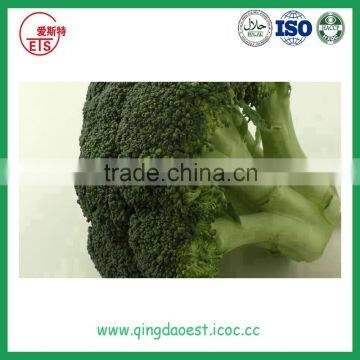 Bulk Packing Fresh Broccoli photo-2