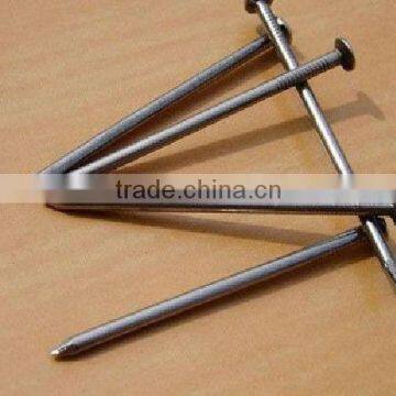 common iron nail(factory price)