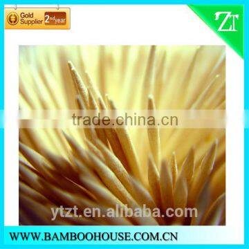 Cello Wrapped Toothpicks Wholesale
