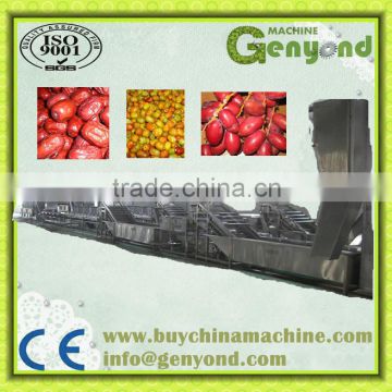 jujube processing line / washing machine/ sorting machine / drying machine