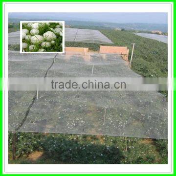 Hail Guard Net for Fruit Protection photo-3