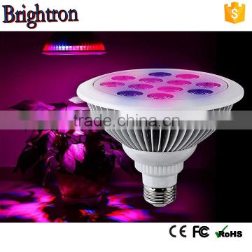 Competitive price ip65 cob 600w hydroponic led grow light Growing & flowering switchable led grow light