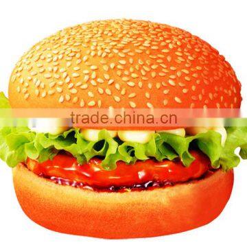 Hamburger Processing Line photo-6