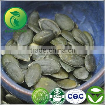 Green Pumpkin Seeds Feeds GWS Oil