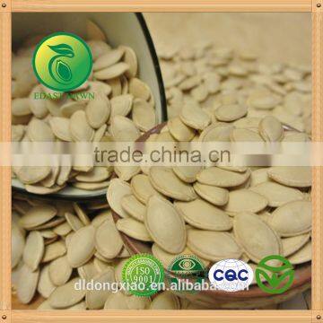 China Shine Skin Pumpkin Seeds