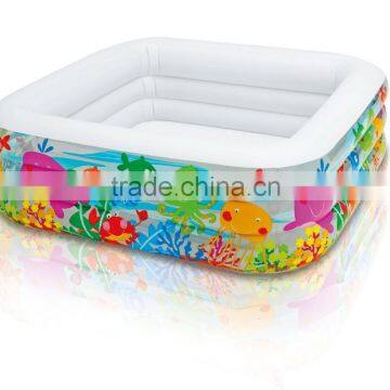 Swim Center Clear View Aquarium Inflatable Pool, 62" X 62" X 19", for Ages 3+