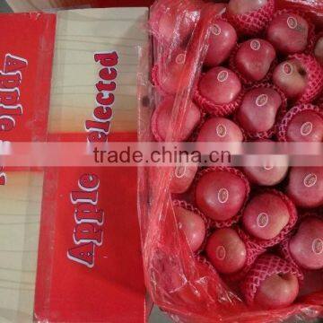 fresh apple fruit supplier apple and fuji apple export company fuji apple carton