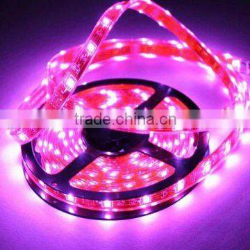 2015 China supplier promotion 3528 flexible led ribbon light led strips