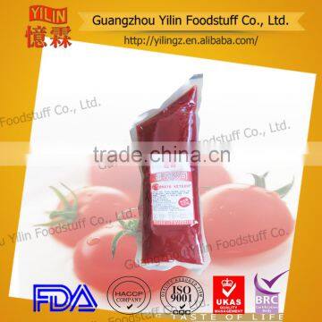500g PE bag tomato ketchup made in China manufacturer