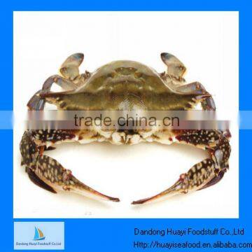 IQF frozen cutted swimming crab