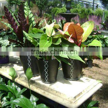 Vietnam recycled rubber flower pots/ Recycled rubber planters bucket