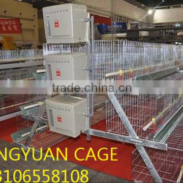 automatic layer cage for sale