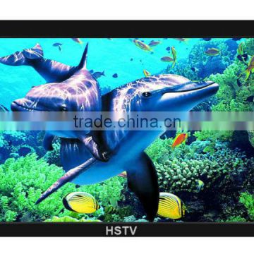 2014 New invention HSTV led screen television for advertising in chain hotel/mall/restaurant/hospital/church