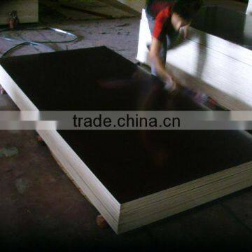 20mm Black and Brown Film Faced Waterproof Shutter Plywood