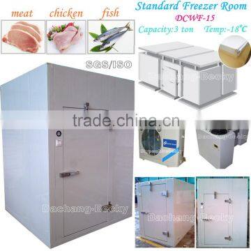 Standard freezer room DCWF-15 to store meat,chicken and fish