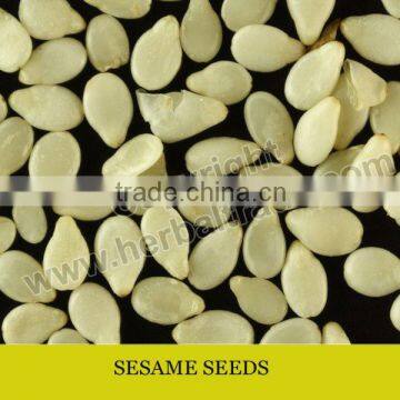 SESAME SEEDS HULLED