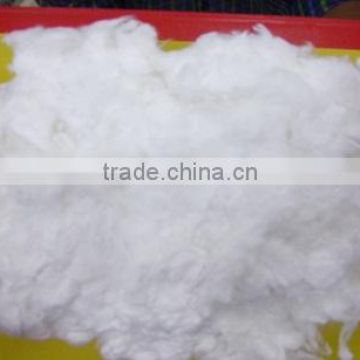 100% Bleached Pure absorbent Medical Cotton Comber Noil