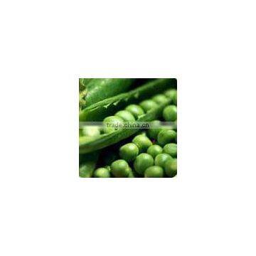 Dried Green Pea