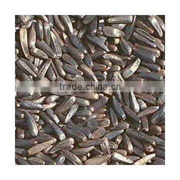 NIGER SEEDS