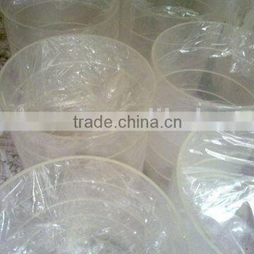 cylindrical glass aquariums