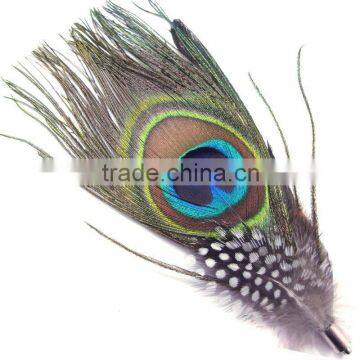 white ostrich feathers