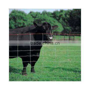 Field fence