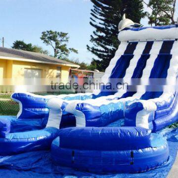 Inflatable Water Slides With 2 Pools and Two Slidings