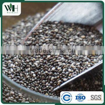 Paraguayan Black Chia Seed Manufacturer