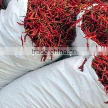 Red Chilli Available... photo-4