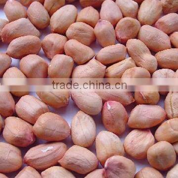 Red peanut kernel new season