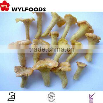 2015 IQF High Quality Frozen Wild Chanterelles photo-2