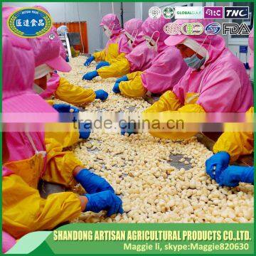 Frozen Garlic Puree photo-5