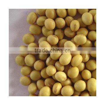 Soyabean Meal Export From China
