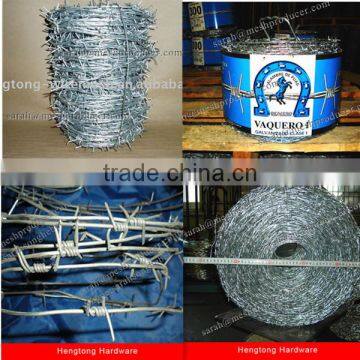 Decorative Wire Fence/Barbed Wire Fencing/Anti Climb Spikes