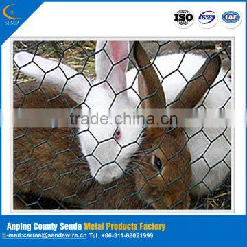 /Hot Sale Chicken Wire Netting/ Hexagonal Wire Netting/ Poultry Mesh/lowest Price/highest Quality photo-3