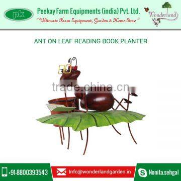 Good Quality Ant Design Garden Planter to Enhance Your Garden Look photo-4