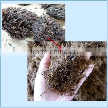 Chipper machine to make oil palm short fiber for pelletizing--exported to Malaysia, Thailand and Indonesia