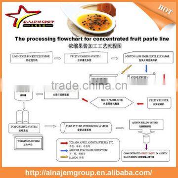 Hot Hot Full Automatic Industrial Passion Fruit Sauce Maker Machine High Viscosity Production Line Passion Fruit Paste photo-5