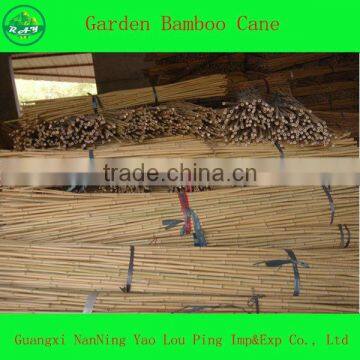 House Product Bamboo