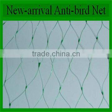 Hdpe Agricultural Bird Netting, Plastic Garden Bird Catch Net for Sale photo-4