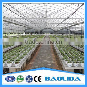 Galvanized Steel Frame Agricultural Greenhouse For Sale photo-2