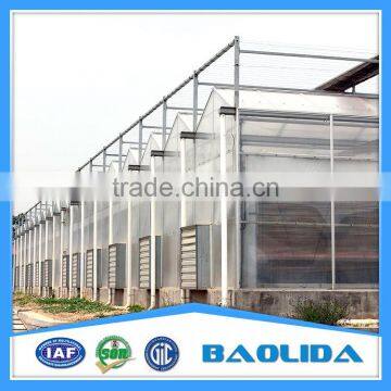 Glass House for Vegetables and Commercial photo-4