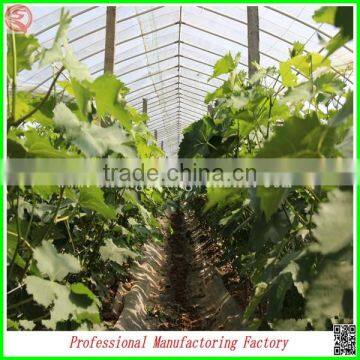 Plastic Film Commercial Greenhouses for Sale With Arched Type photo-5