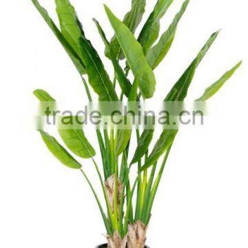 Brand Name Artificial Bonsai Artificial Travellers Tree Decor photo-4