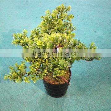 Home Garden Decoration 50cm to 160 cm Hight Small Indoor Canadian Artificial Green Pot Plastic Similar Pine Trees ELSPZ02 0901 photo-5