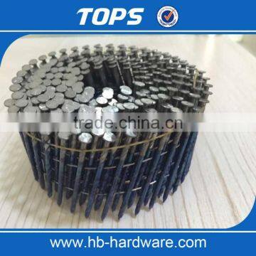 Stainless steel screw wire coil nail