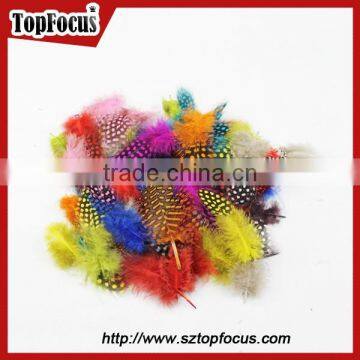 cheap dyed guinea fowl wholesale artificial feathers for carnival costumes